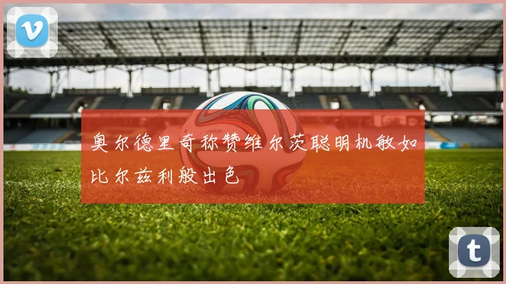 奥尔德里奇称赞维尔茨聪明机敏如比尔兹利般出色