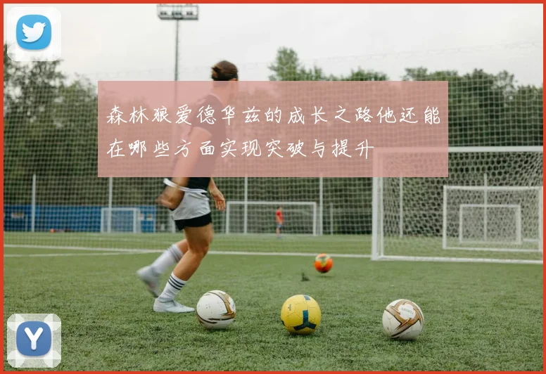 森林狼爱德华兹的成长之路他还能在哪些方面实现突破与提升